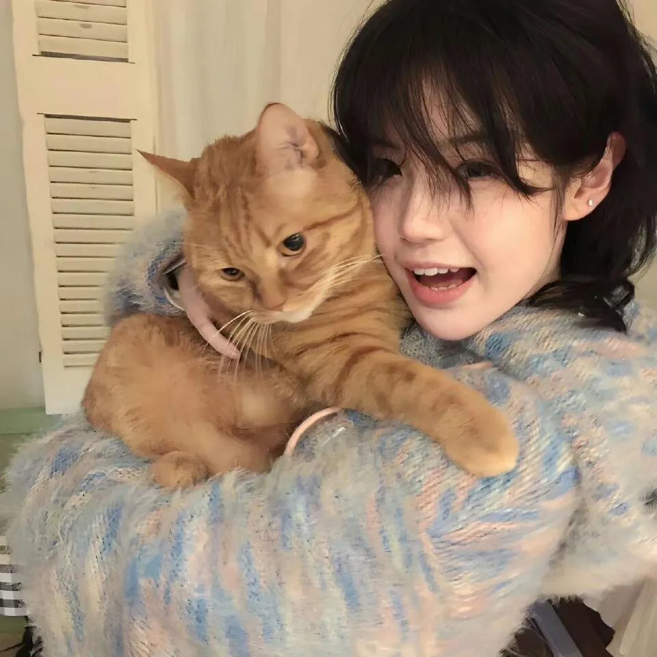 大猫竞技